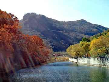 新澳天天开奖资料大全旅游团，南京彩钢板